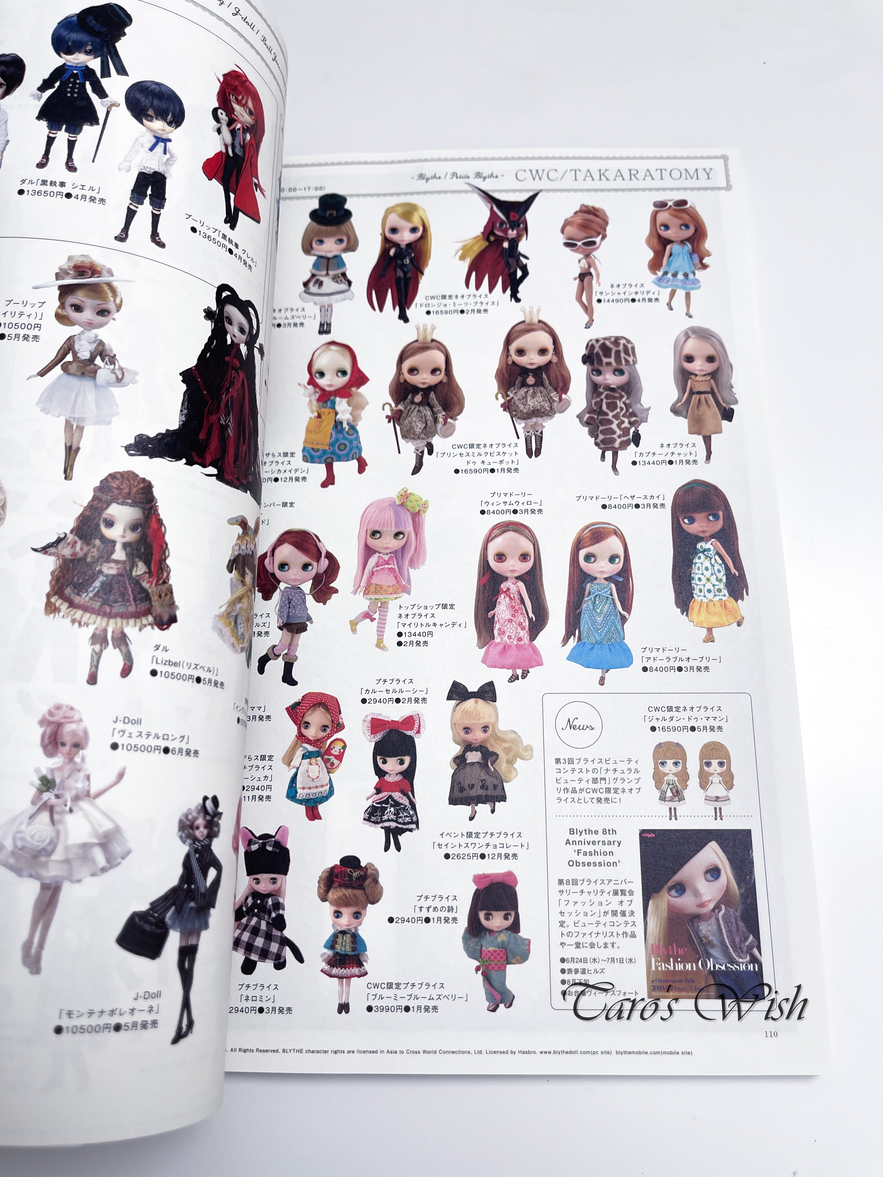 DOLLYBIRD Vol.12 Doll Craft Zine Doll Magazine – Taro's Wish